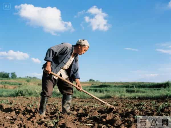 农村除了娶妻难，这8个怪现象越来越明显，村村都有，你村占几个？