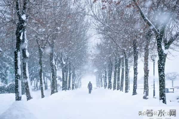 “白天冬至雪堵门，晚上冬至暖烘烘”，今年冬至几点？有啥说法？
