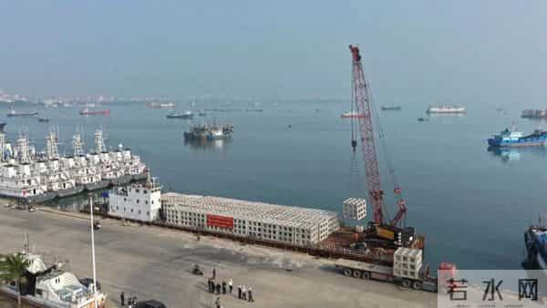 洋浦港区航道改扩建工程：开展生态投放，助力航运与生态和谐共生！