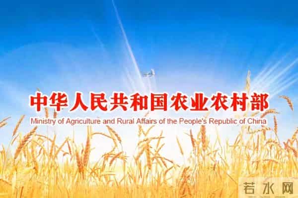 国家要给农业“立规矩”了！种地养鱼盖房子，以后都得按标准来？