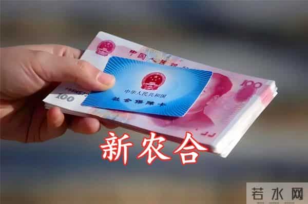 从10元涨到400元！农民宁肯“裸奔”也不缴新农合，真相太扎心