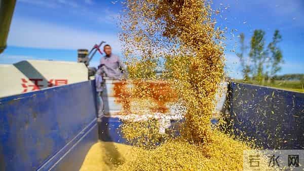 中央定调!未来五年农业这么干,件件关乎咱老百姓钱袋子和饭碗