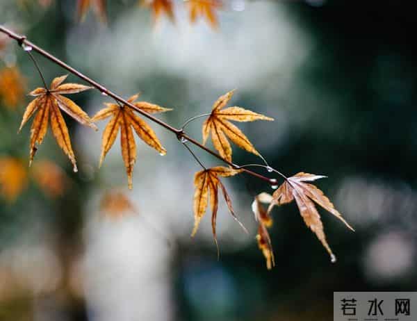 21号冬至，“一年雨水看冬至”，冬至下雨有啥说法？答案来了