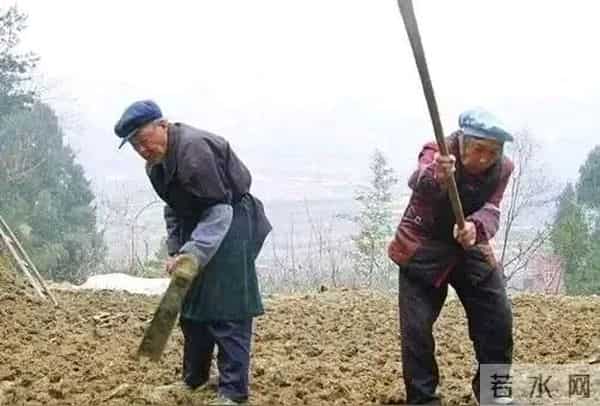 农村除了娶妻难，这8个怪现象越来越明显，村村都有，你村占几个？