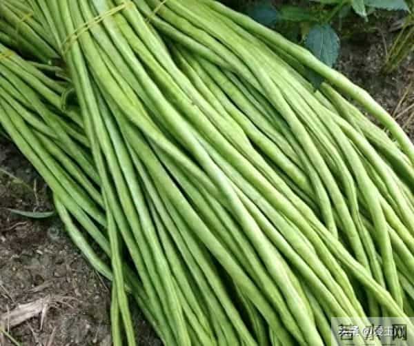 劝告:冬天,尽量不要买这5种蔬菜,看过就知道为什么!