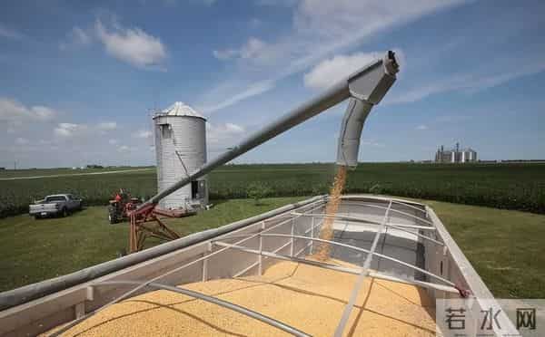 垄断中国90%粮食种子市场！美国若发动粮食战争，我们还有饭吃吗