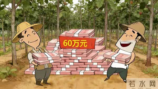 种苹果不挣钱？不妨种点英格兰山楂，8~9年后，一棵能卖10000多