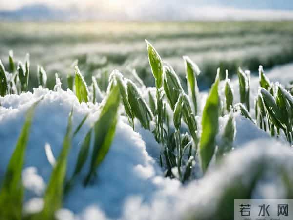 “不怕冬至阴，就怕冬至晴”，冬至晴天有啥说法？过年冷不冷？