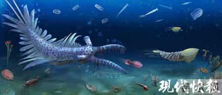 湘西山村修路挖出全球顶级“化石宝库”，发现数十个新物种