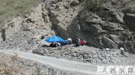 湘西山村修路挖出全球顶级“化石宝库”，发现数十个新物种