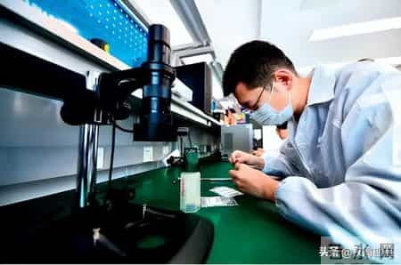 国产芯片迎来双突破，两大巨头联手打破垄断，卡脖子时代即将翻篇