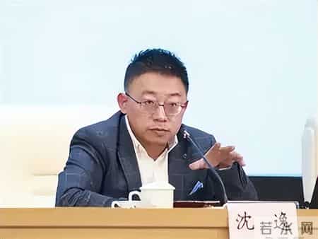 为啥最不相信中国能赢？沈逸：这是我对中国，最担忧的地方！