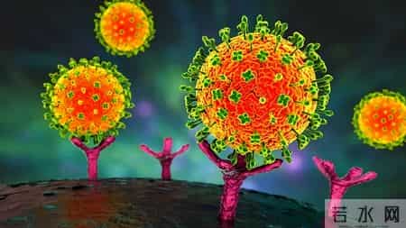 “尼帕病毒”来势汹汹，呼吁：每家备好5样东西，关键时刻能救命