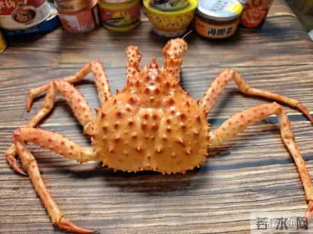 帝王蟹在国外泛滥成灾，中国人买一只却要花上千，背后原因太现实