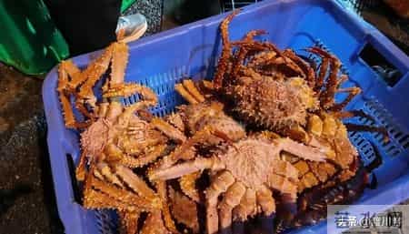 帝王蟹在国外泛滥成灾，中国人买一只却要花上千，背后原因太现实