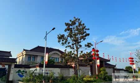 刘强东光送年货没发钱，60岁村民被问是否失望，老人家回答太戳心