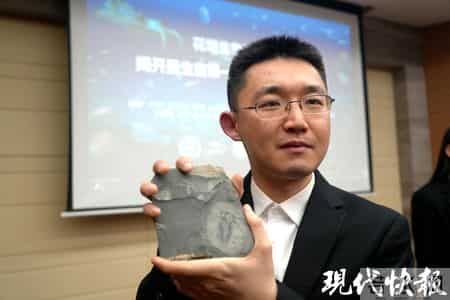 湘西山村修路挖出全球顶级“化石宝库”，发现数十个新物种