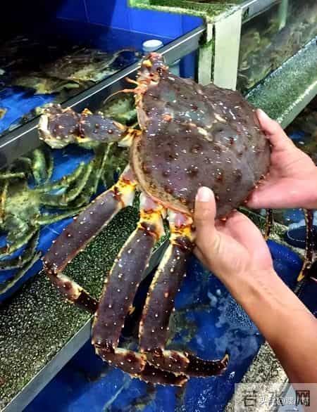 帝王蟹在国外泛滥成灾，中国人买一只却要花上千，背后原因太现实