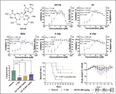 中科院武汉病毒研究所发现尼帕病毒潜在治疗药物