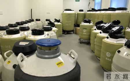 探访人类精子库丨全国仅27家，供精者什么条件？捐献流程如何？