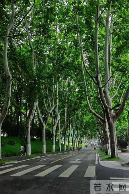 华中科技大学分校