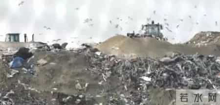 亚马逊销毁滞销品