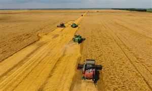 2024中国优质小麦行业深度调研及投资机会分析报告 全国三夏小麦机收任务基本完成