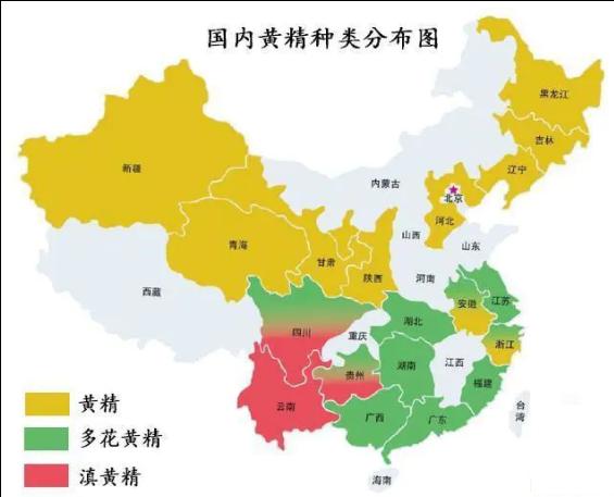 中草药种植细分领域——黄精种植分析