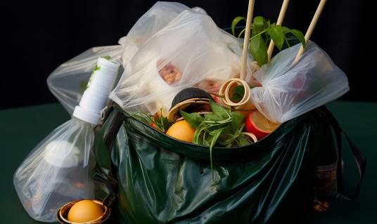 中国生活垃圾处理市场深度分析及发展趋势预测2024